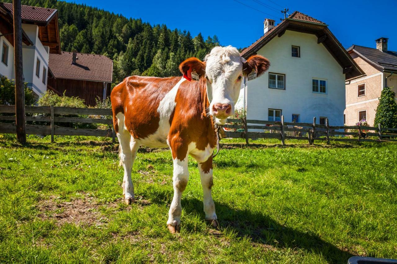 Grillhof-Gut Villa Mauterndorf  Dış mekan fotoğraf