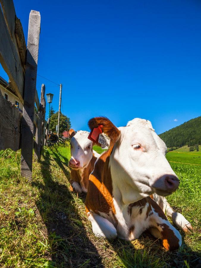 Grillhof-Gut Villa Mauterndorf  Dış mekan fotoğraf